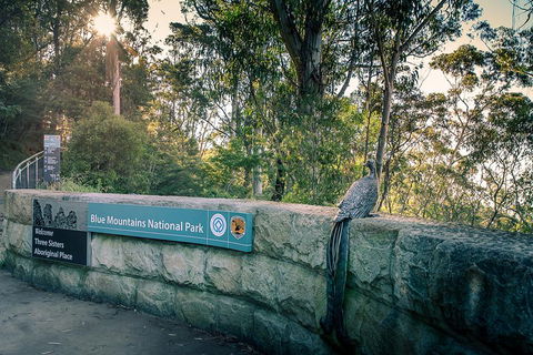 Ultimate Blue Mountains Waterfalls, Walks & Sunset PRIVATE Tour - Stayed 3