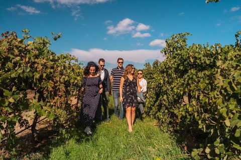 Barossa Valley Private Tour (from 2 To 11 People) - Stays Accommodation 0