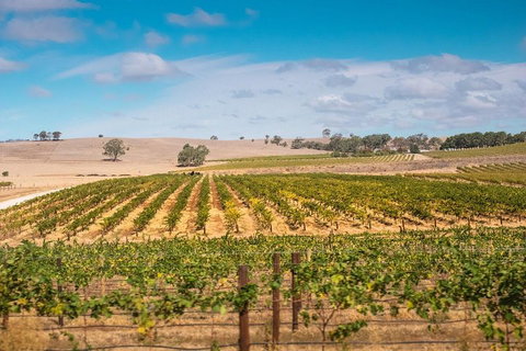 Barossa Valley Private Tour (from 2 To 11 People) - Stays Accommodation 2