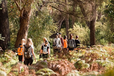 Half-Day Yanchep Ghost House Wilderness Guided Hike Tour - Stayed 0