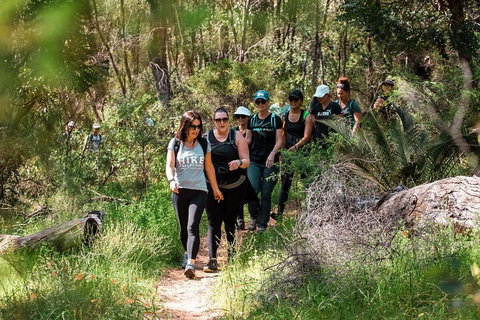 Half-Day Yanchep Ghost House Wilderness Guided Hike Tour - Stayed 3