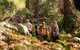 Half-Day Yanchep Ghost House Wilderness Guided Hike Tour - thumb 5