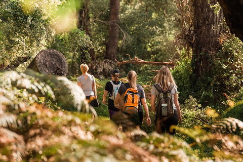 Half-Day Yanchep Ghost House Wilderness Guided Hike Tour - Stayed 5