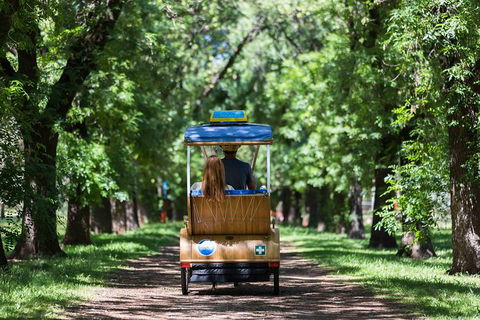 Adelaide 90-Minute Pedicab Tour: Scenic Green & River Experience - Stayed 2
