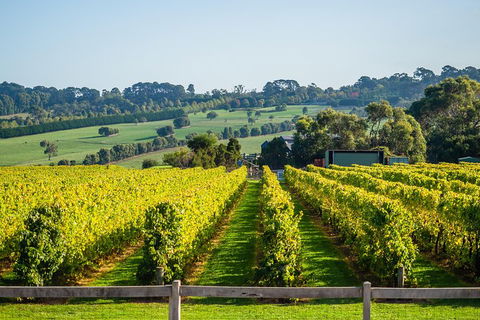 Private Tours From Melbourne - Stayed 1