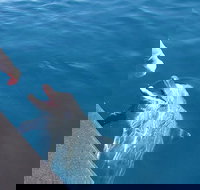 Noosa Thriller - 500hp Ocean Adventure Ride - Stayed