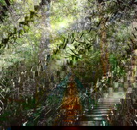 O'Reilly's  Lamington National Park from Gold Coast - Stayed