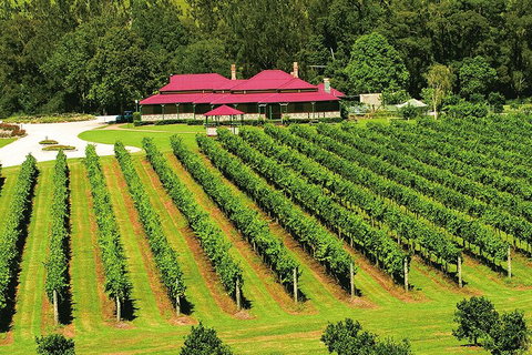 O'Reilly's & Lamington National Park From Gold Coast - Stayed 2