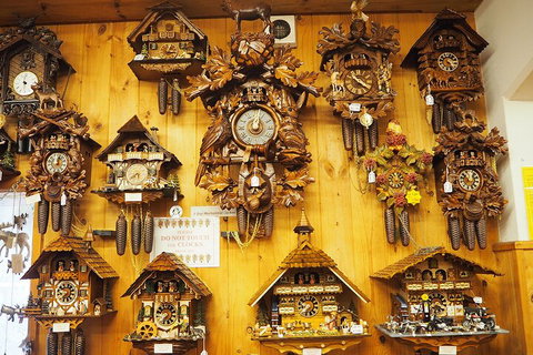 O'Reilly's & Lamington National Park From Gold Coast - Stayed 5