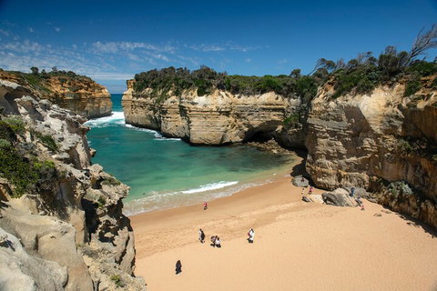 LGBT+ Friendly 12-Hour Great Ocean Road Private Tour - Stays Accommodation 5