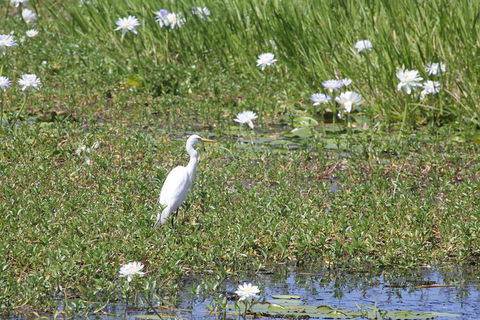 Darwin City Sights And Jumping Crocodile Cruise - Stayed 4