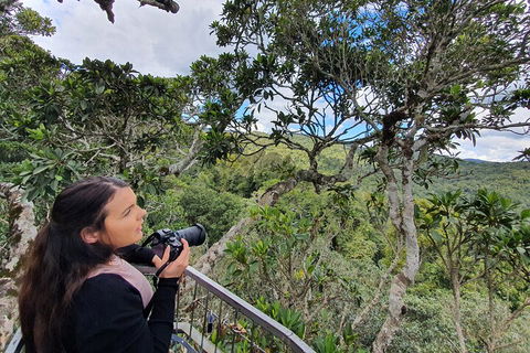 Lamington National Park, O'Reilly's & Vineyard Tour - Stayed 1