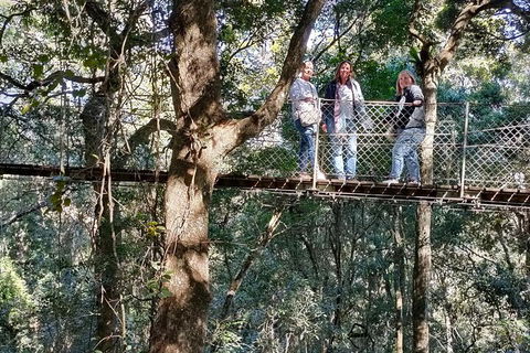 Lamington National Park, O'Reilly's & Vineyard Tour - Stayed 2