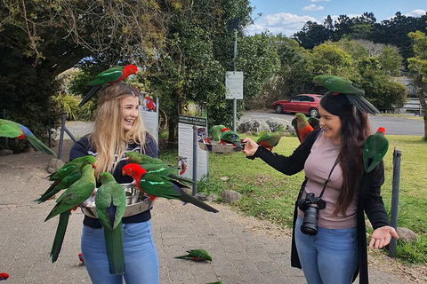 Lamington National Park, O'Reilly's & Vineyard Tour - Stayed 5