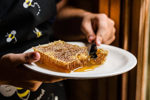 Full-Day Kangaroo Island Safari From Penneshaw - Stayed 3