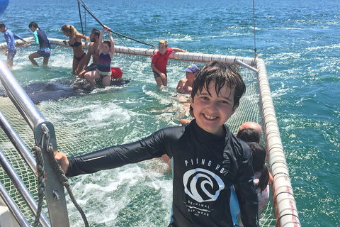 Port Stephens Private Tour From Sydney, With Dolphin/ Whale Cruise Options - Stayed 0