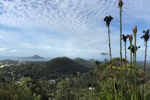 Port Stephens Private Tour From Sydney, With Dolphin/ Whale Cruise Options - Stayed 3