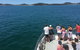 Port Stephens Private Tour From Sydney, With Dolphin/ Whale Cruise Options - thumb 4