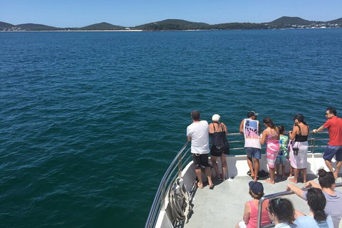 Port Stephens Private Tour From Sydney, With Dolphin/ Whale Cruise Options - Stayed 4