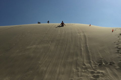 Port Stephens Private Tour From Sydney, With Dolphin/ Whale Cruise Options - Stayed 5