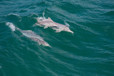 North Stradbroke Island Private Tour With Pickup - Stayed 0