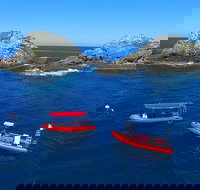 3-Hour Byron Bay Certified Scuba Diving Tour - Stayed