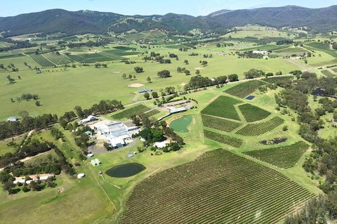 Helicopter Tour Of Hunter Valley In New South Wales With Lunch - Stays Accommodation 4