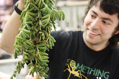 Small-Group Adelaide Central Market Early Breakfast Tour - Stayed 0