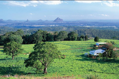 Full Day Sunshine Coast Hinterland Luxury Small Group Tour From Brisbane - Stayed 2