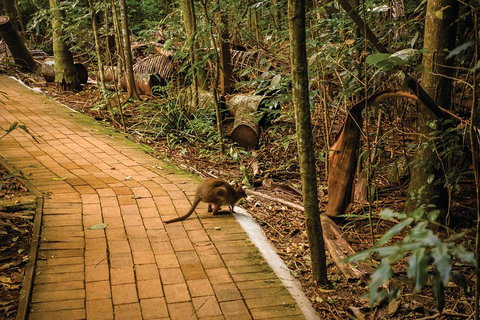 Full Day Sunshine Coast Hinterland Luxury Small Group Tour From Brisbane - Stayed 3