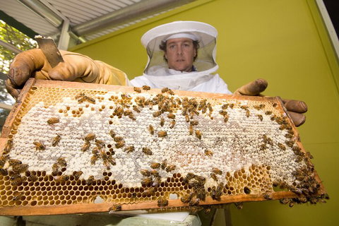 The Ginger Factory Play, Taste & Discover Bundle Admission Ticket - Stayed 2