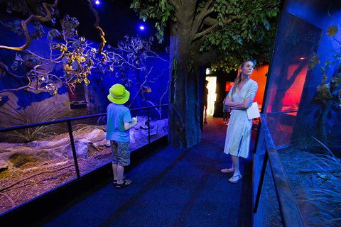 Wildlife Habitat Port Douglas - Stayed 4