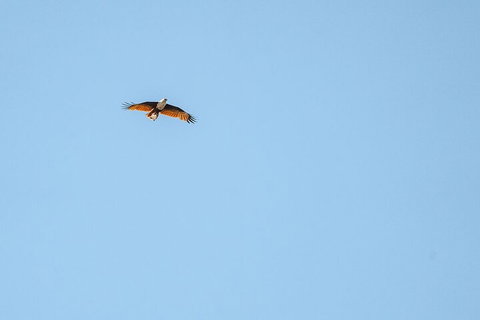 North Stradbroke Island Day Trip From Brisbane - Stayed 4