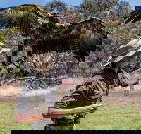 One Day Kangaroo Island Sip  See tour with return ferry transfers from Adelaide - Stayed