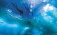 Snorkel With Sharks At AQWA - thumb 1