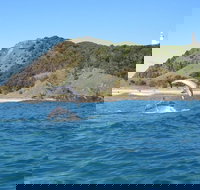 Kayaking with Dolphins in Byron Bay Guided Tour - Stayed