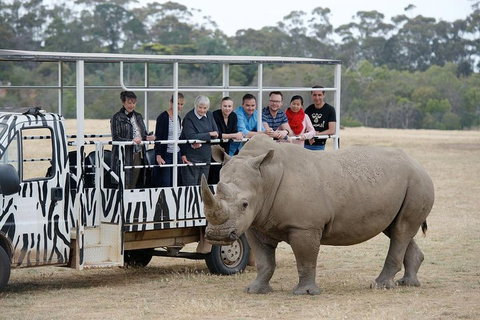 Off-Road Safari At Werribee Open Range Zoo - Stayed 0