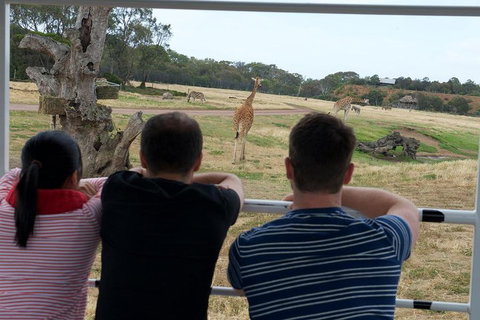 Off-Road Safari At Werribee Open Range Zoo - Stayed 4