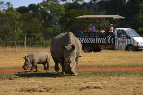 Off-Road Safari At Werribee Open Range Zoo - Stayed 5