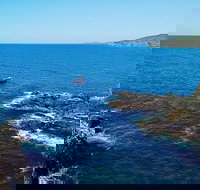 Julian Rocks Byron Bay Cruise - Stayed