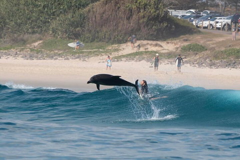 Cruise With Dolphins In Byron Bay - Stays Accommodation 3