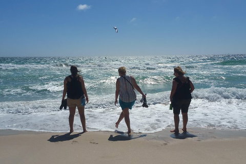 Very Best Of Perth Tour - Wildlife Park & City Highlights Tour - Stayed 5