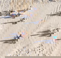 Unlimited Sandboarding - Stayed