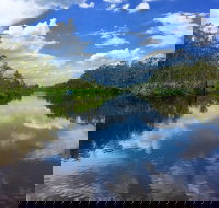 Noosa Everglades Serenity Cruise  Highlights Tour Inc. Lunch  Cruise - Stayed