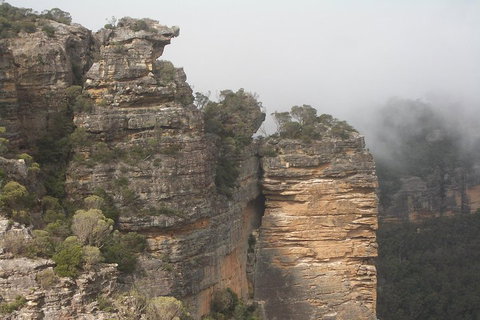 Private Blue Mountains Tour With Expert Guide - Stayed 5