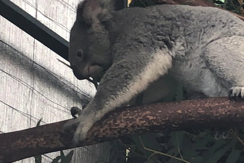 Perth Hills - Wildlife, Art & Gastronomy - Stayed 3