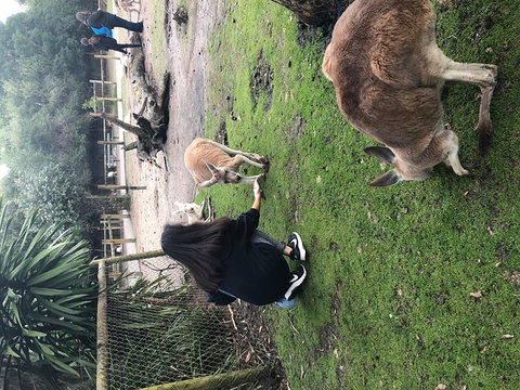 Perth Hills - Wildlife, Art & Gastronomy - Stayed 4