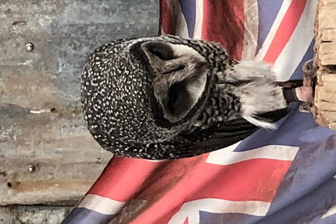 Perth Hills - Wildlife, Art & Gastronomy - Stayed 5