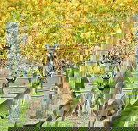 Margaret River Indulge and Discover Day Tour - Stayed