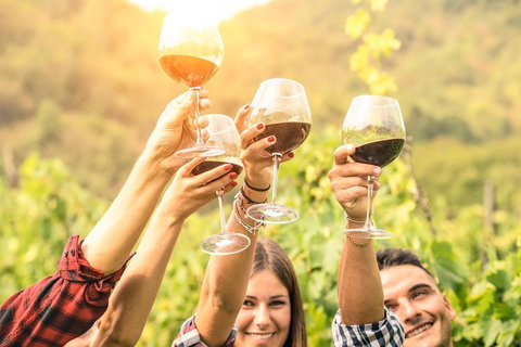 Adelaide Hills Day Tour. Winery Cellar Doors - Stays Accommodation 0